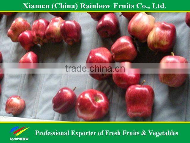 Red delicious Apple with good taste