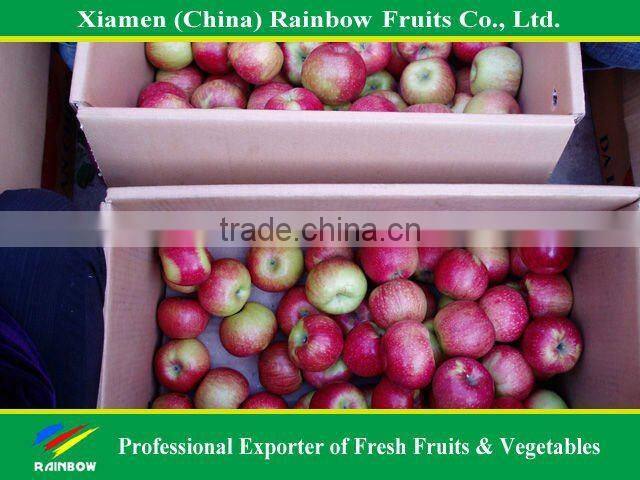 Fruit and vegetable prices