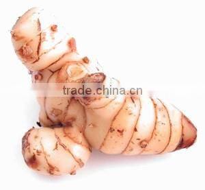 100% NATURAL Galangal Oil (Galangal Alpine)