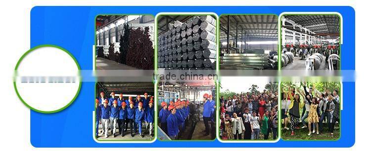 BLD Large Multi-span plastic film Greenhouse commercial use