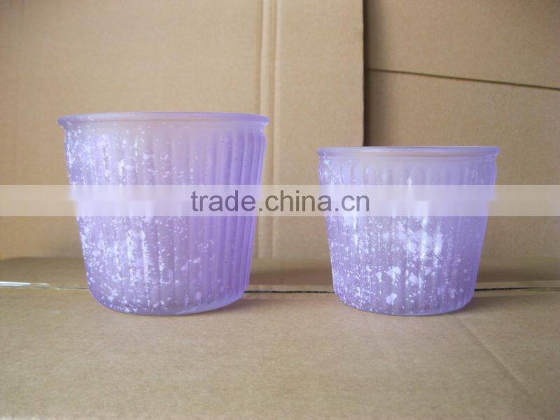 glass flower vaseglass , flower pot