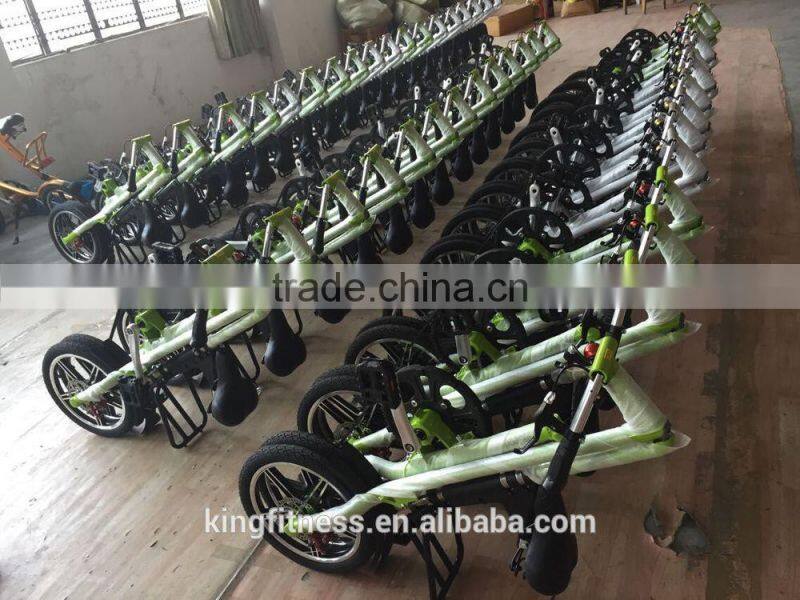 Chinese factory mini foldable bike
