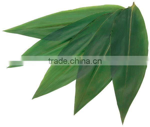 Natural Bomboo Leaves 100 Leaves