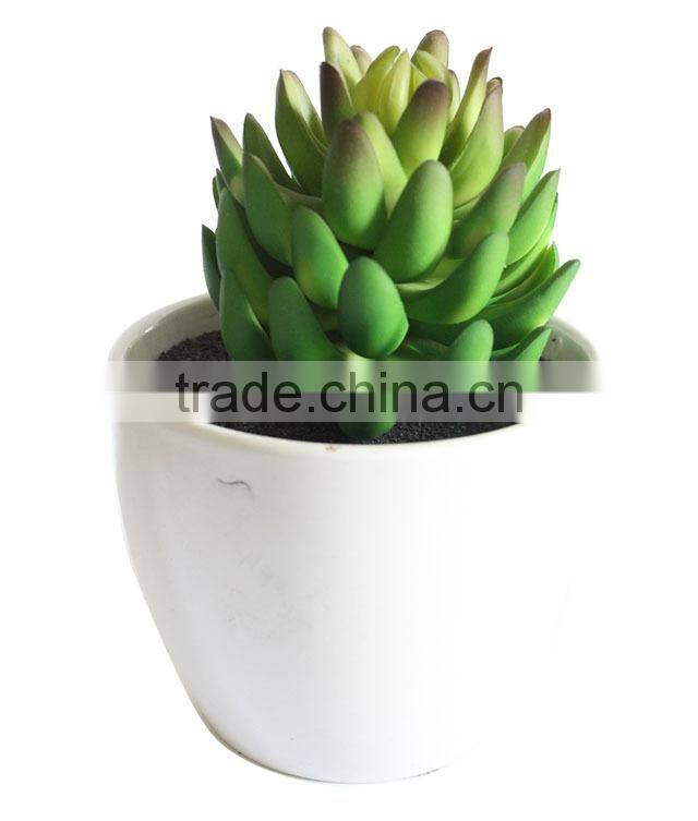 Nearly natural mini succulents potted plant small succulents