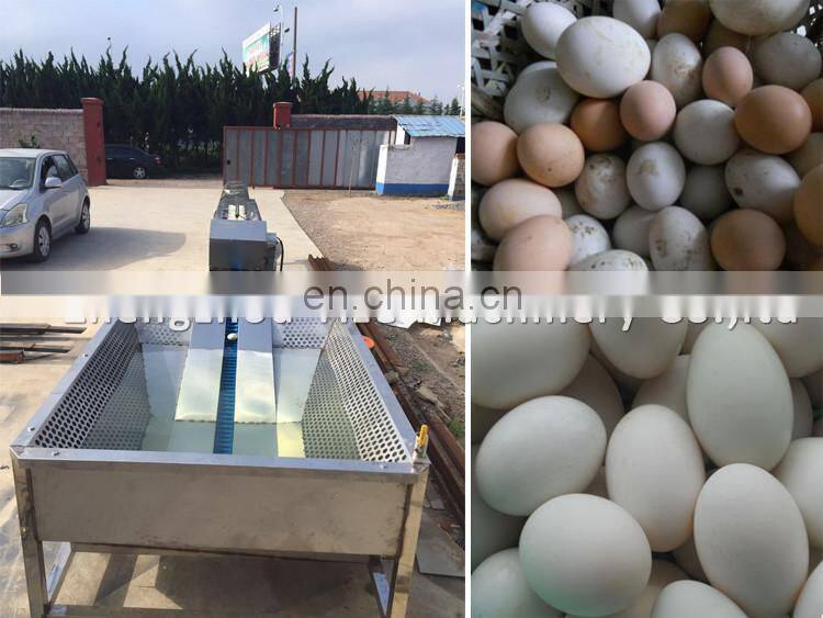 Hot sale poultry farm equipment dirty egg washer / egg processing machine