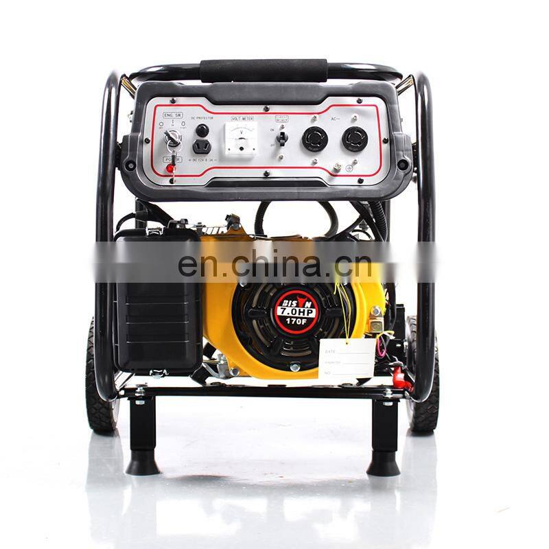 BISON China Find Champion Hot Sale Portable 5KW Generator from China
