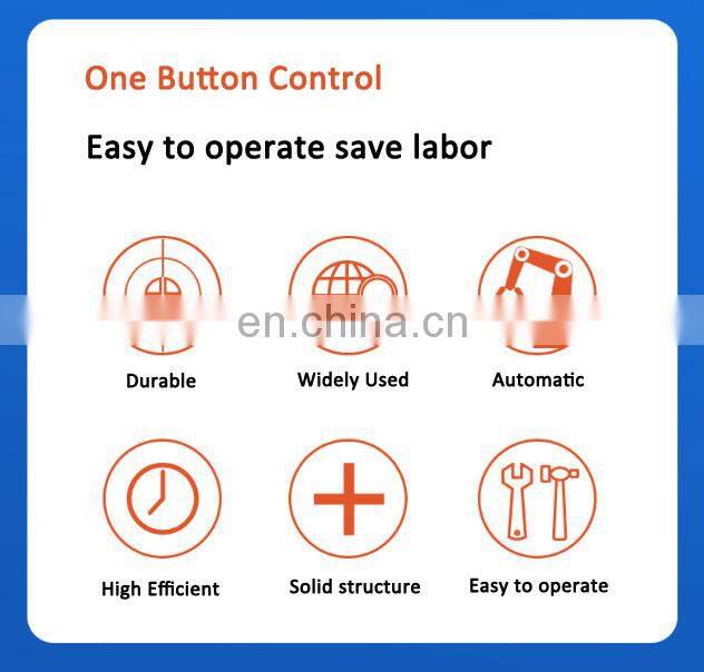 Sinoped Automatic 6/8/10/12 Multi Line Cheese Whey Protein Powder Stick Sachet Packing Machine