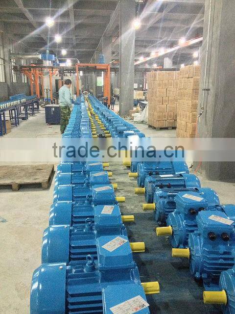 AEEF Three Phase Induction Motor