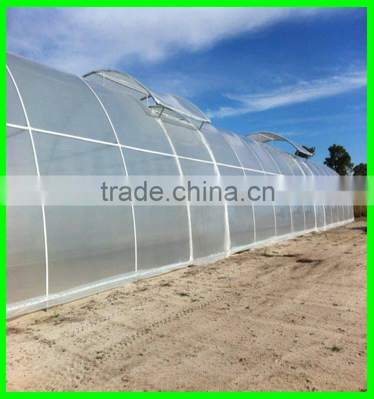 100% virgin HDPE with UV resistant tunnel covering film fuit used woven transparent pe cover