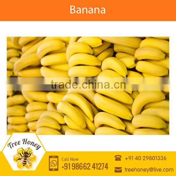 Fresh Yellow Banana for Sale