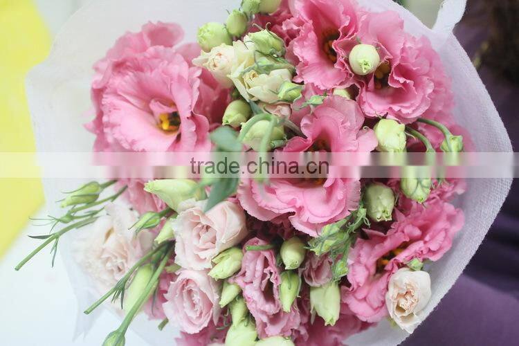 Alibaba china hotsell fresh cut flower eustoma lisianthus