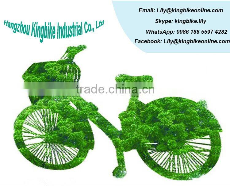 >>>700C colorful dutch city bike with single speed road city bike/