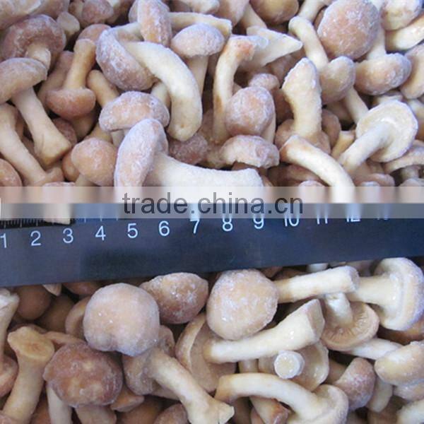 High Quality Top Quality Frozen Fresh Nameko