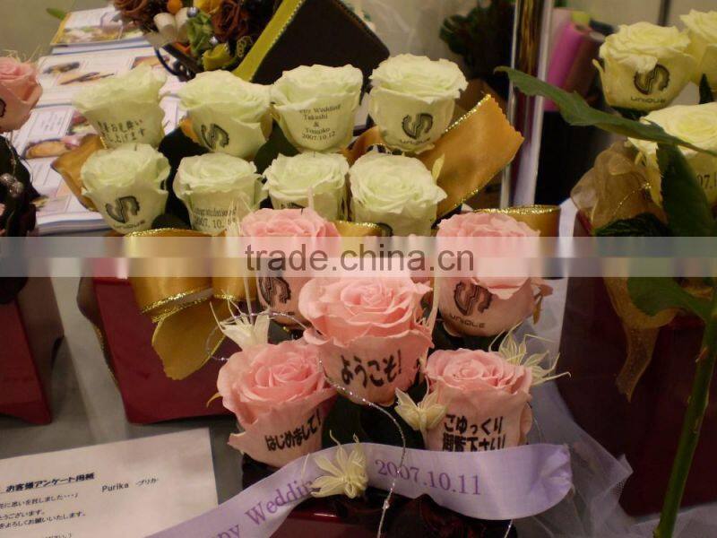 mini cheap beautiful flower printer digital flower printer diy flower printer