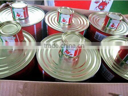 Natural Fresh Tin Canned Tomato Paste With Good Quality