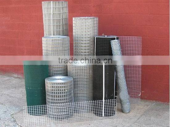 Electric fence for cattle