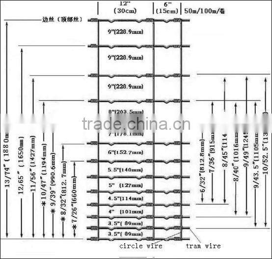 Guangzhou supplier manufacturing galvanized wire mesh roll wire horse gardening ZX-NLW002