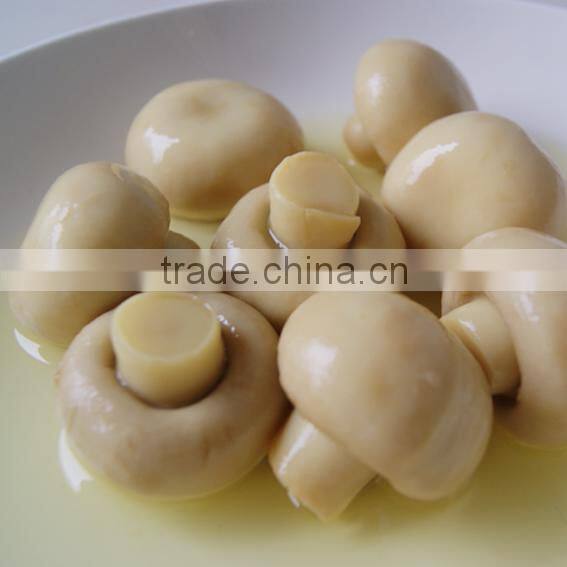 Canned Mushroom Pieces and Stems