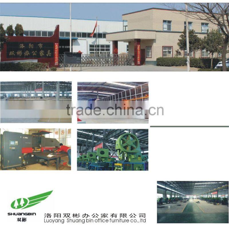 Luo Yang Factory Best Selling Steel Swing Door Cupboard/Wardrobe Closet
