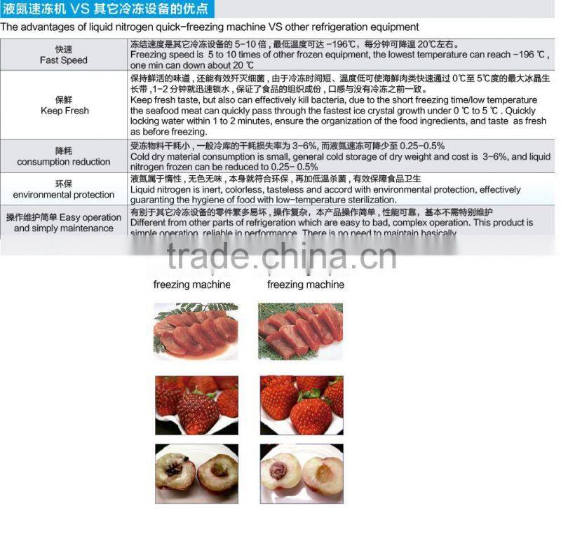 Excellent Liquid nitrogen blast freezer best for sea food