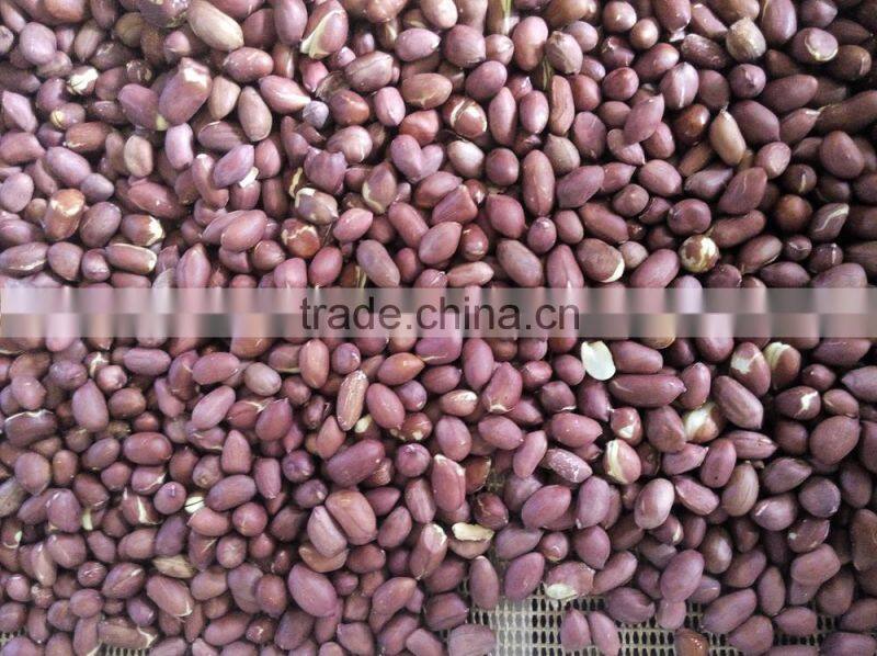 tunnel type industrial micrwave red chili drying sterilizing machine/sterlizer