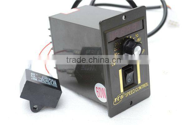 AC Induction motor with Gearhead