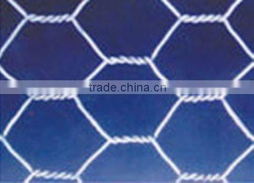Hexagonal mesh