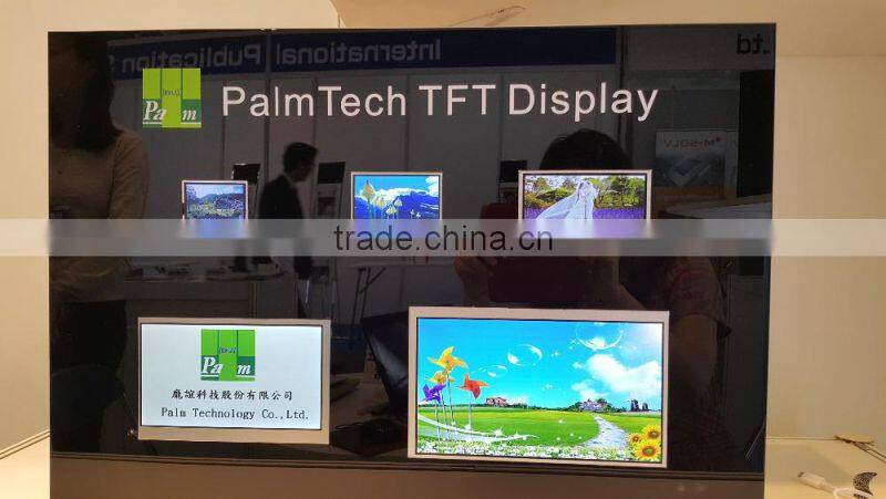Graphic display 240x160 LCD module