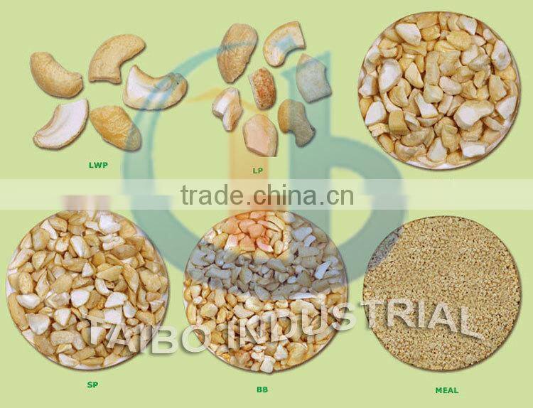 automatic bean nut dicer machine / bean nut dicer