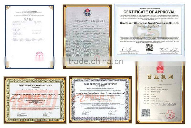 15mm 4*8 poplar film faced plywood for construction