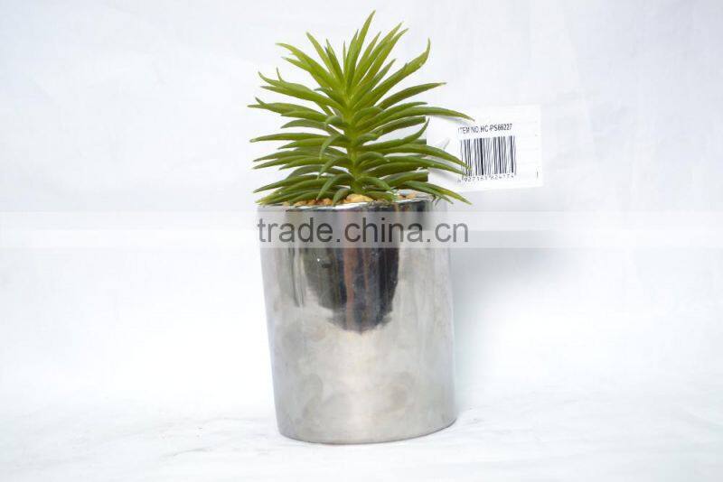 Artificial succulent grass for home decoration