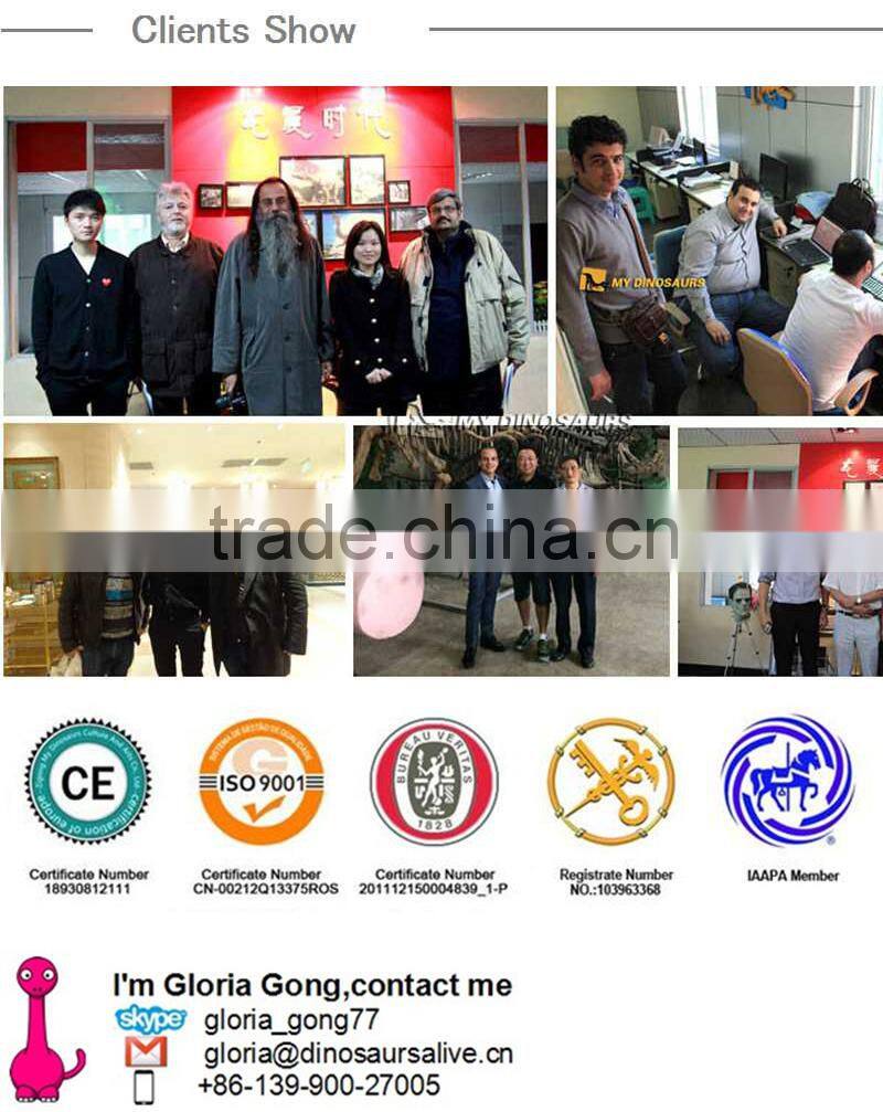 MY Dino-M10 Animatronic playground equipment whale