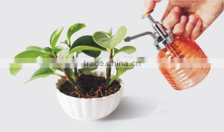 clear glass water dispenser bottle with pump sprayer cap