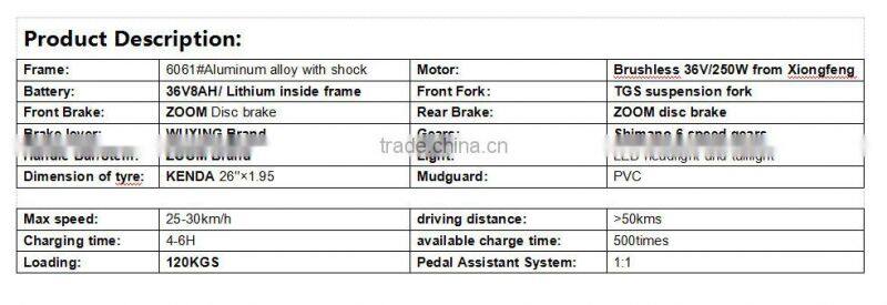 9A Folding Electric Mountain Bike with hidden battery