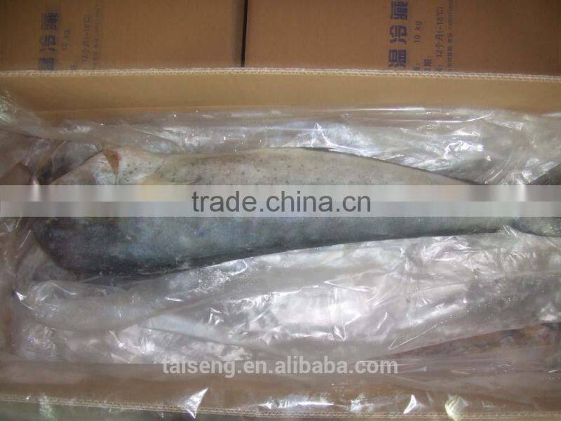 chinese sea frozen whole round mahi mahi fish