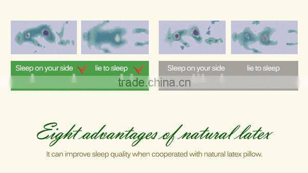 Environmental Anion Latex Mattress Core