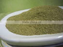 STAVIA POWDER INDIAN TULSI POWDER