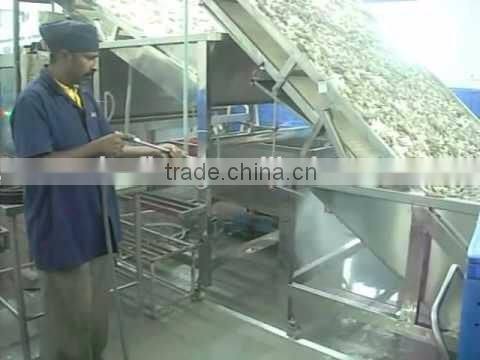 Multi-pump high pressure washer, washing system