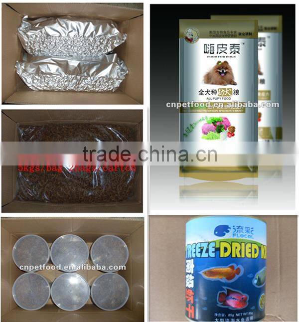 packets food lizard dried silkworm chow