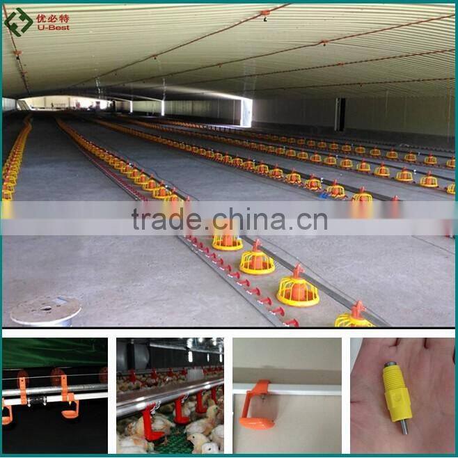 Chicken poultry farm equipment