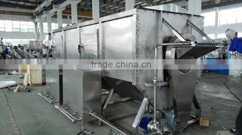 frozen french fries continuous frying production line