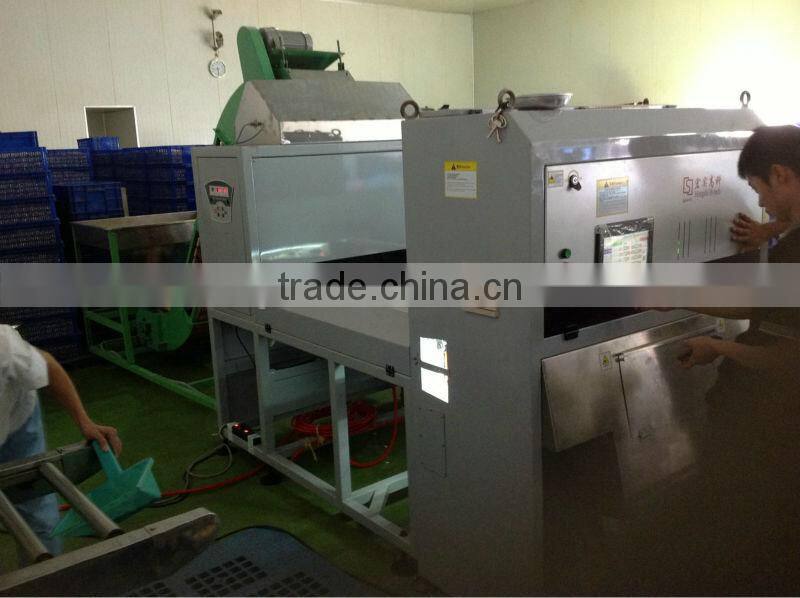 cashew nut color sorter machine