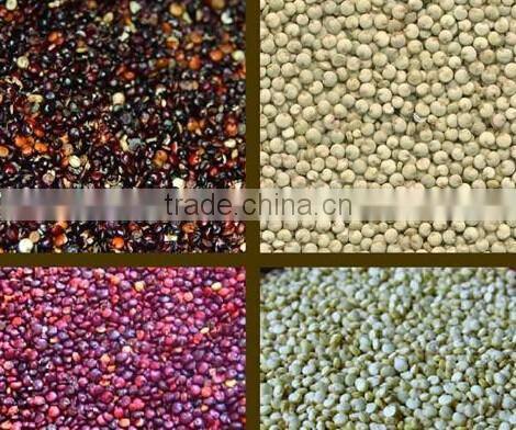 Quinoa color sorter with Intelligent multifunction and advanced software
