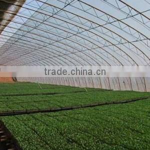 Steel structure building arch greenhouse