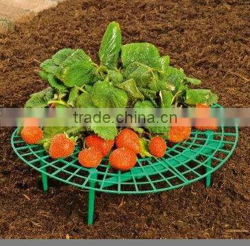 strawberry support 5pc/set