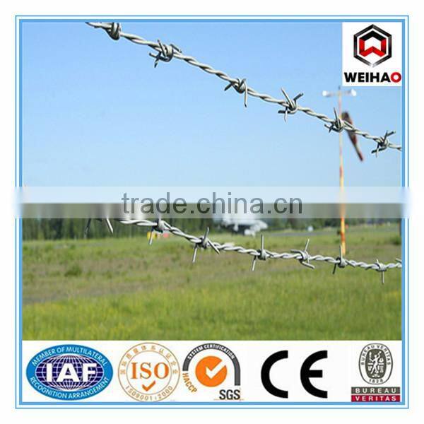Anping Wei hao provide galvanized barbed wire/PVC barbed wire/barbed wire for sale