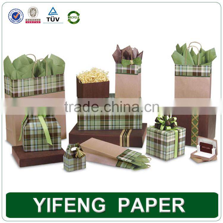 Promotion Cutom Color Printing Paper Gift Bag
