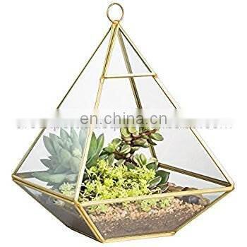 glass jar design terrarium