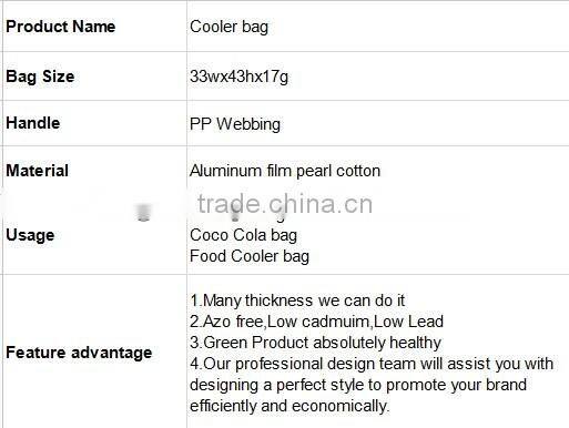 New design disposable cooler bag for outdoor