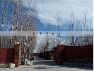 Clear Square Capillary Quartz Glass Rods For Selling